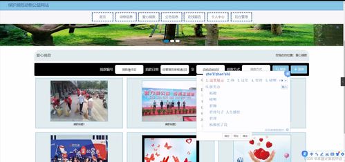 SpringBoot瀕危動(dòng)物保護(hù)公益網(wǎng)站系統(tǒng)設(shè)計(jì)與實(shí)現(xiàn)